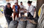 Giúp bà con vươn lên nhờ cây “Xóa đói giảm nghèo”
