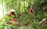 Giảm nghèo ở vùng đặc biệt khó khăn: Cán bộ, công chức đi tiên phong 