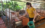 Đồng hành cùng các cấp Hội tuyên truyền, hỗ trợ phụ nữ thoát nghèo
