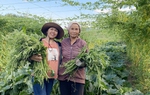 Thay đổi nhận thức của phụ nữ sẽ tạo động lực để giảm nghèo bền vững 