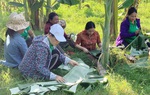 “Tỷ đồng cho thiết bị xanh - môi trường sạch”