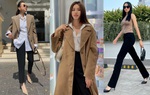 Học cách phối đồ với quần đen của sao Việt
