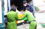 Hà Tĩnh: Bắt xe ô tô tải vận chuyển 200kg thực phẩm không rõ nguồn gốc xuất xứ