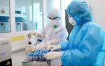 Hà Nam, Thanh Hóa ghi nhận số ca mắc Covid-19 cao nhất từ trước đến nay 