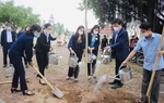 Phụ nữ Hưng Yên trồng gần 15.000 cây xanh chào mừng thành công Đại hội Phụ nữ toàn quốc XIII