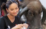 H'Hen Niê can đảm để kiểu tóc sừng trâu độc nhất vô nhị showbiz Việt
