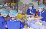 Xây dựng nhà trưng bày sản phẩm OCOP do phụ nữ sản xuất