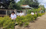Đồng Nai: “Khuôn mặt” mới của tuyến đường nông thôn