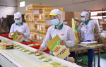 TPHCM lý giải về việc chưa cho F0 đi làm 