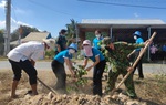 Phụ nữ Đồng Tháp trồng cây xanh chào mừng thành công Đại hội đại biểu Phụ nữ toàn quốc XIII