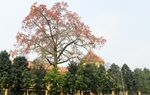 Du lịch Hà Nội "hồi sinh" bằng những tour mới, độc đáo sau đại dịch