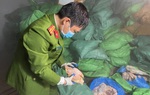 Ngăn chặn gần 10 tấn dạ dày, chân gà bốc mùi hôi thối chuẩn bị ra thị trường