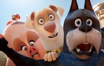 "Liên minh siêu thú DC" hé lộ trailer hài hước