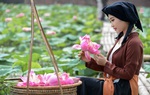 Không gian Sen trong đời sống văn hóa Việt
