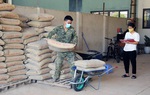 Khẩn trương triển khai các giải pháp bình ổn giá vật liệu xây dựng