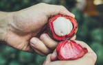 Bà bầu ăn măng cụt được không?