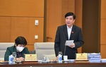 Đảm bảo tính khả thi, kịp thời bảo vệ người bị bạo lực gia đình
