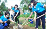 Trong 1 tháng, các cấp Hội, hội viên, phụ nữ cả nước đã trồng được hơn 5,7 triệu cây xanh