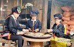 Hỗ trợ cho vay tới 96 tỷ đồng để phát triển vùng trồng dược liệu quý