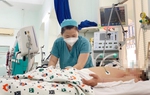 Lo ngại sốt xuất huyết, viêm não, tay chân miệng bùng phát 