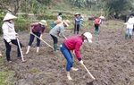 Phụ nữ Hà Giang: Nhiều cách làm hay cải tạo vườn tạp, phát triển kinh tế vườn hộ