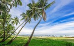 Truyện ngắn: Xanh xanh miền nhớ