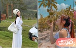 Minh Hằng, Ngọc Trinh, Lý Nhã Kỳ sở hữu đất vườn mênh mông