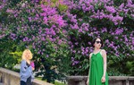 Cây bằng lăng "hot" nhất Hà Nội, dân tình đua nhau tới chụp ảnh "check in"