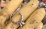 Người phụ nữ bỏ tiền mua lại bãi rác để tìm chiếc nhẫn cưới bị mất