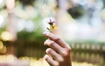 Một người có đáng tin cậy hay không, nhìn 5 điểm này là rõ