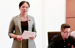 Cần bổ sung nguyên tắc về đảm bảo bình đẳng giới, lồng ghép giới trong hoạt động thanh tra