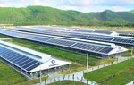 Vinamilk tập trung đẩy mạnh xây dựng mô hình phát triển bền vững trong ngành sữa