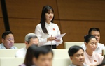 Đề nghị bổ sung, làm rõ chủ thể, đối tượng gây bạo lực gia đình