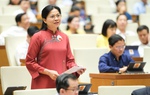 Chủ tịch Hội LHPN Việt Nam nêu 5 đề xuất vào dự thảo Luật Phòng, chống bạo lực gia đình (sửa đổi)
