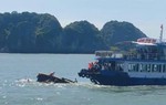 Hai tàu va chạm trên biển Cát Bà, một nữ du khách tử vong