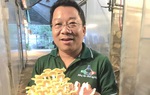 4 điều cần biết để khởi nghiệp thành công