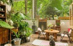 Cô nàng sở hữu khu vườn cực chill sau 3 năm chăm sóc