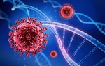 Việt Nam ghi nhận biến chủng BA.5 virus SARS-CoV-2