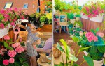 Biến ban công tí hon 4m2 thành khu vườn xinh lung linh