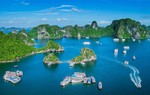 Bình chọn cho du lịch Việt Nam tại Giải thưởng World Travel Awards 2022