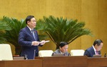 Chậm xử lý sai phạm trong thị trường chứng khoán gây hiệu ứng xấu, mất niềm tin nhà đầu tư