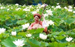 Tour trải nghiệm mùa sen được lòng phái đẹp 