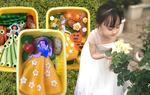Mẹ Việt ở Nhật làm cơm hộp công chúa cực yêu, bữa nào con gái cũng vui vẻ ăn hết suất