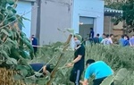 Vụ thi thể lìa đầu ở Hải Phòng: Công an hé lộ hành vi man rợ của nghi phạm