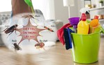 Sử dụng loạt mẹo nhỏ này để nhà thơm và không còn bóng dáng côn trùng