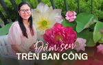 Đầm sen trên ban công đẹp nức lòng với gần 20 loại giống ở Hà Nội