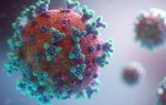 Bệnh cúm A H5N1 là gì? Những điều cần biết về bệnh cúm A H5N1