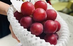 Người nội trợ đua nhau mua nho đắt nhất thế giới bán tràn lan tại Việt Nam
