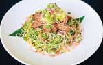 Salad bò nướng với rau mầm cải