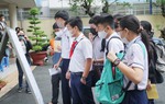 Điểm thi vào lớp 10 ở TPHCM thấp kỉ lục do đâu?
